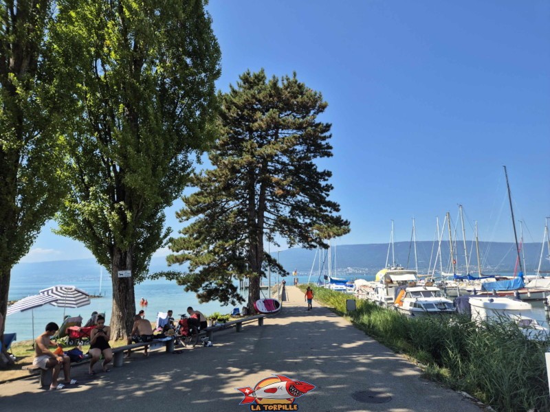La digue du port de Cudrefin en direction du débarcadère.