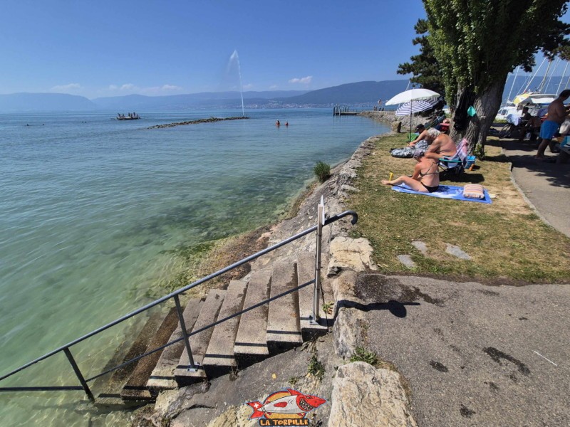 digue. Plage de Cudrefin, Canton de Vaud, lac de Neuchâtel.