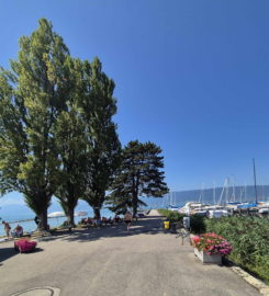 🛳️ Débarcadère de Cudrefin