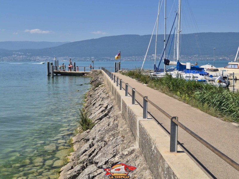 digue. Plage de Cudrefin, Canton de Vaud, lac de Neuchâtel.