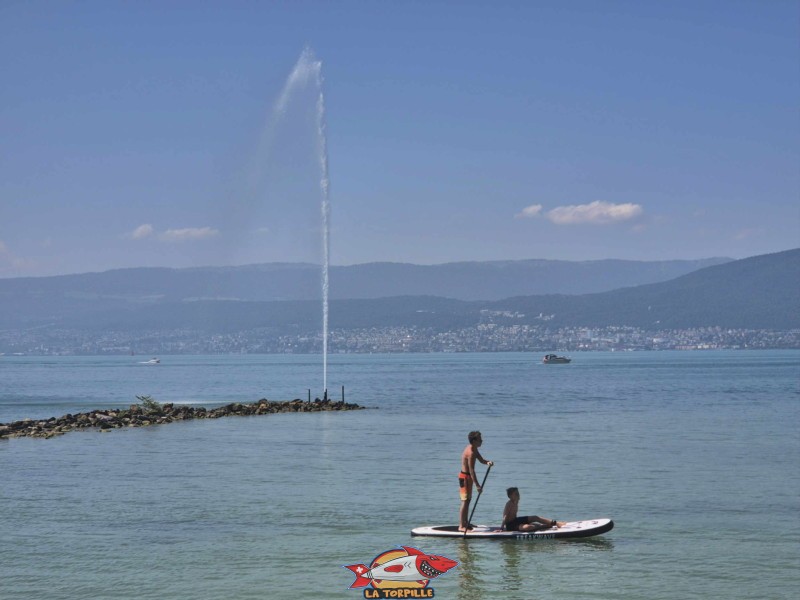 Jet d'eau. Plage de Cudrefin, Canton de Vaud, lac de Neuchâtel.