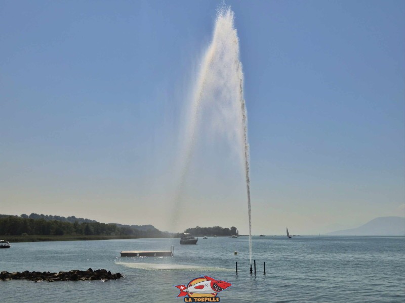 Jet d'eau. Plage de Cudrefin, Canton de Vaud, lac de Neuchâtel.