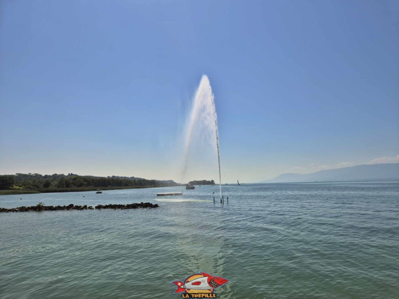 Le jet d'eau de Cudrefin depuis le débarcadère. Le jet d'eau de Cudrefin depuis le débarcadère.