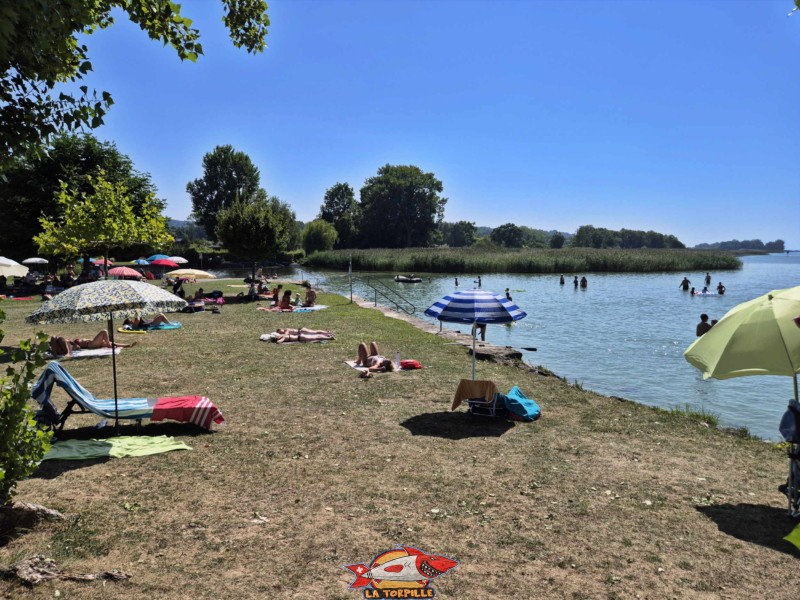 Enrochements nord. Plage de Cudrefin, Canton de Vaud, lac de Neuchâtel.
