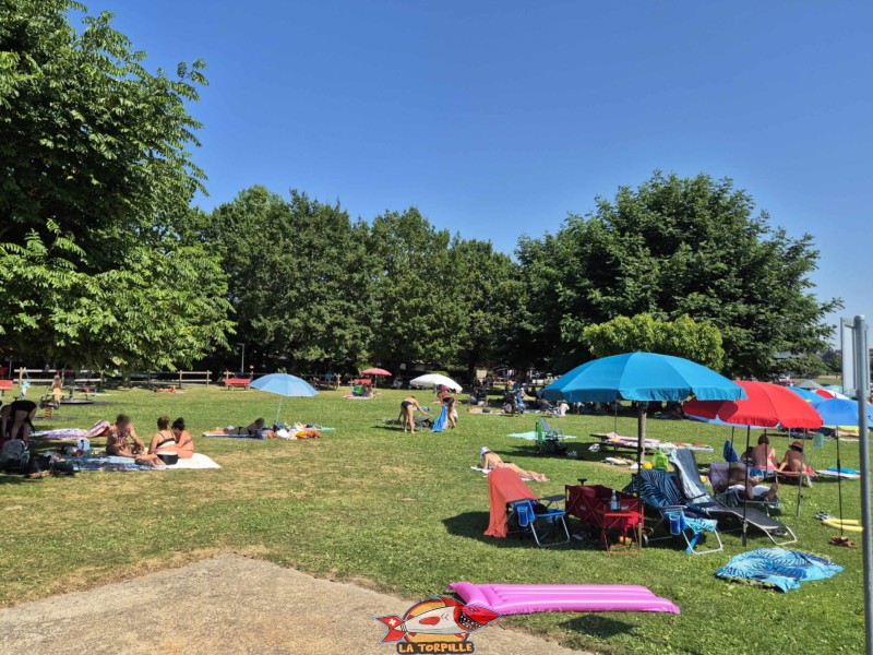 Pelouse. Plage de Cudrefin, Canton de Vaud, lac de Neuchâtel.