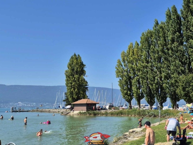 Digue. Plage de Cudrefin, Canton de Vaud, lac de Neuchâtel.