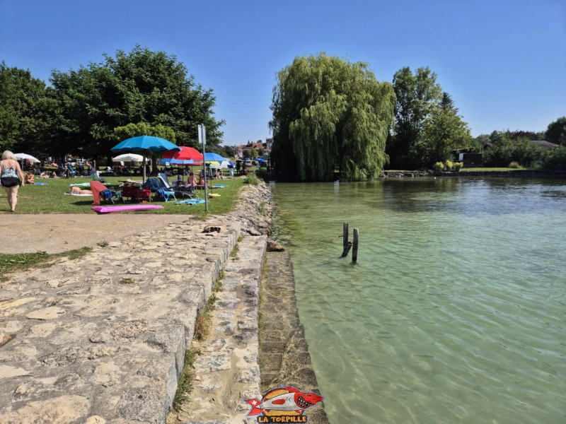 Enrochements ouest. Plage de Cudrefin, Canton de Vaud, lac de Neuchâtel.