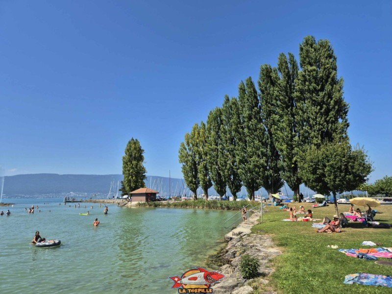Enrochements nord. Plage de Cudrefin, Canton de Vaud, lac de Neuchâtel.
