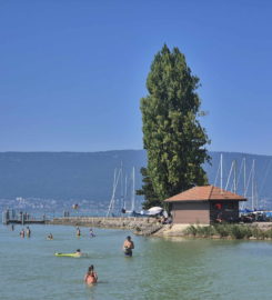 🛳️ Débarcadère de Cudrefin