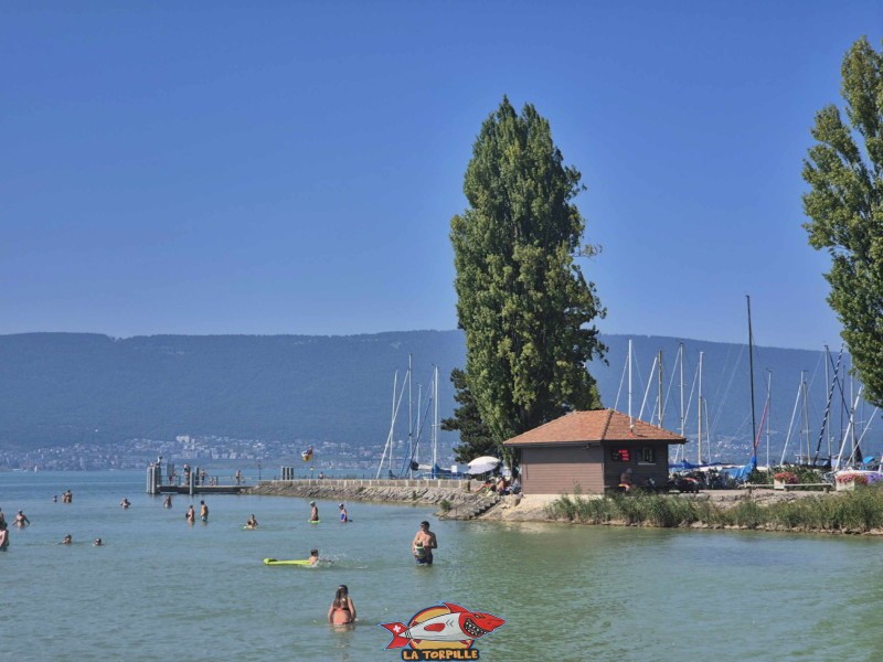 Digue, Vue d'ensemble