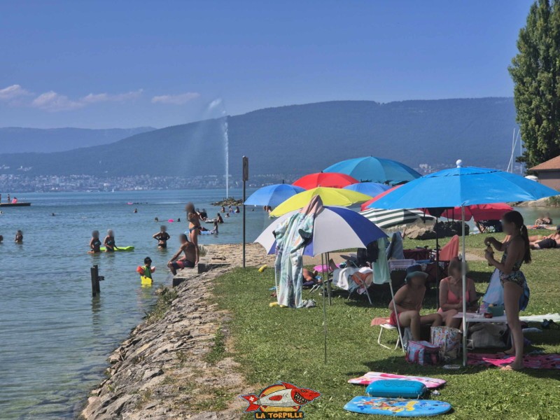 Enrochements ouest. Plage de Cudrefin, Canton de Vaud, lac de Neuchâtel.