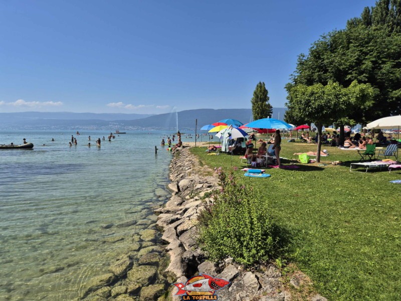 Enrochements ouest. Plage de Cudrefin, Canton de Vaud, lac de Neuchâtel.