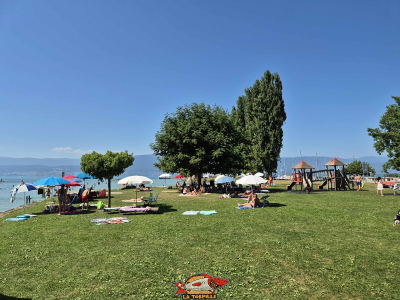 Pelouse. Plage de Cudrefin, Canton de Vaud, lac de Neuchâtel.