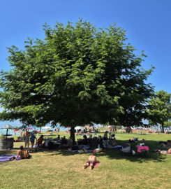 🏖️ Plage de Cudrefin
