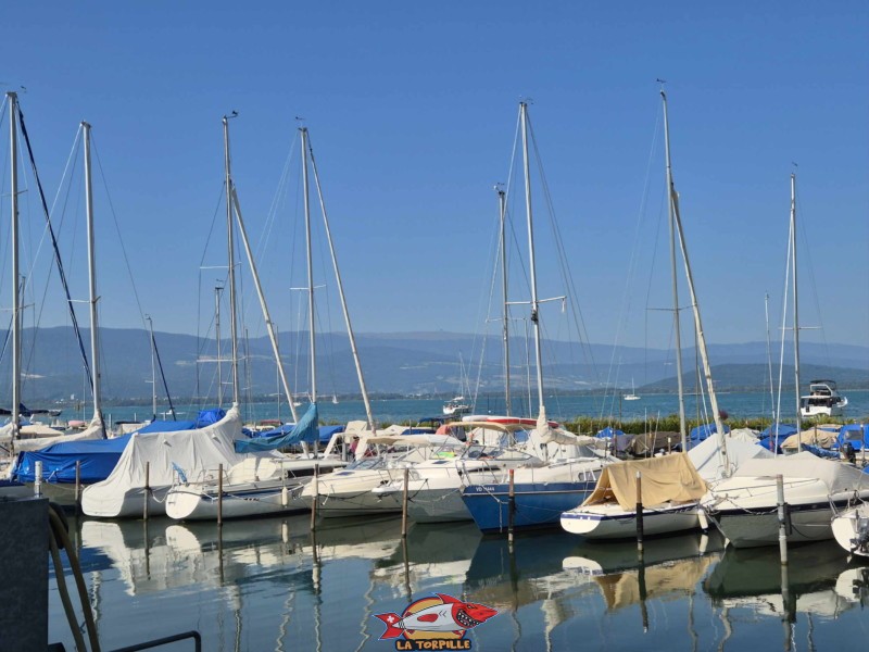 Port de Cudrefin. Les bateaux du port de Cudrefin avec, au milieu de l'image, le Chasseral reconnaissable avec son antenne telecom.