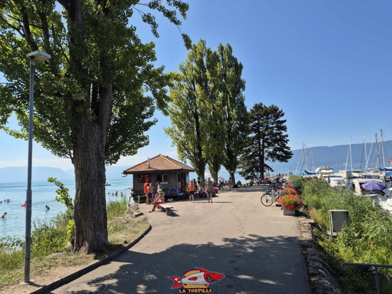Digue. Plage de Cudrefin, Canton de Vaud, lac de Neuchâtel.