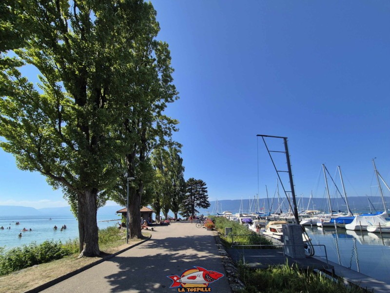Digue. Plage de Cudrefin, Canton de Vaud, lac de Neuchâtel.