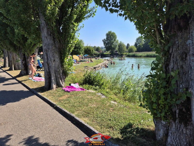 Digue. Plage de Cudrefin, Canton de Vaud, lac de Neuchâtel.