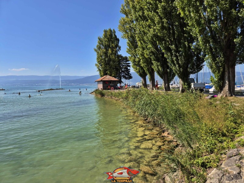 Digue. Plage de Cudrefin, Canton de Vaud, lac de Neuchâtel.