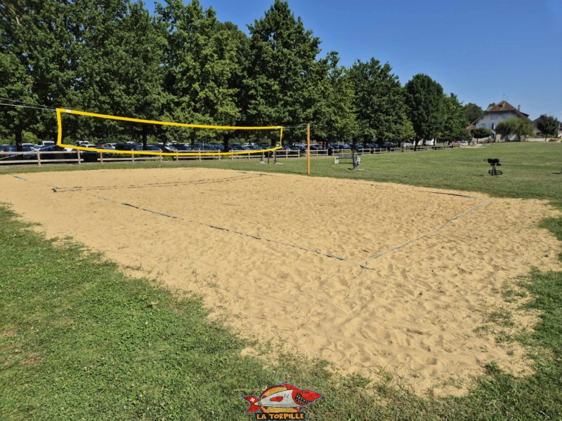 Une grande surface herbeuse se trouve derrière la pelouse de la plage.  Le terrain de volley. Plage de Cudrefin, Canton de Vaud, lac de Neuchâtel.