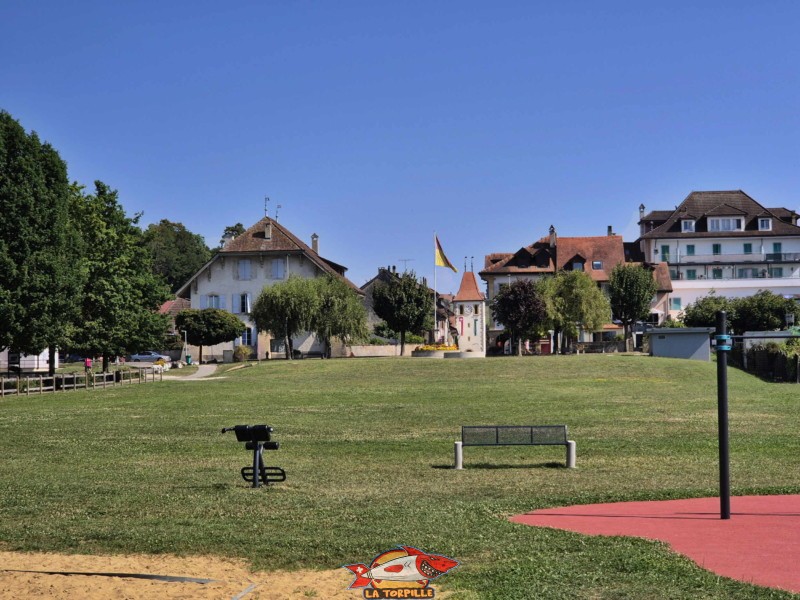 Une grande surface herbeuse se trouve derrière la pelouse de la plage. Plage de Cudrefin, Canton de Vaud, lac de Neuchâtel.