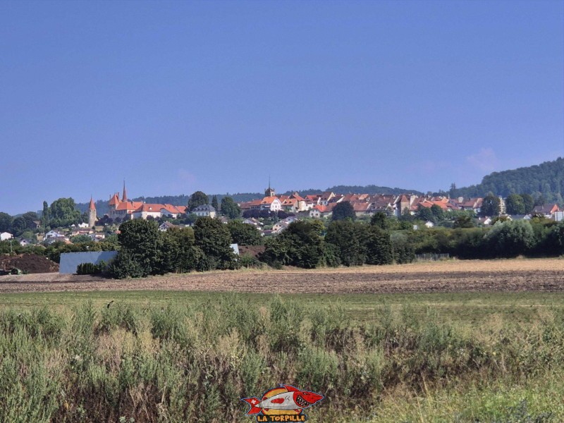 La ville d'Avenches depuis la route menant à Cudrefin, côté ouest.