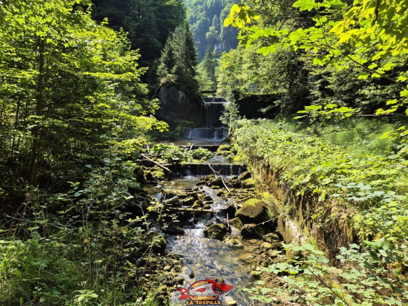 chemin d'accès. Lac Vert d'Untervelier, Haute-Sorne, district de Delémont. canton du Jura.