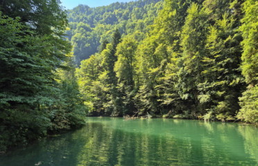 🚤 Lac Vert d’Untervelier – Haute-Sorne