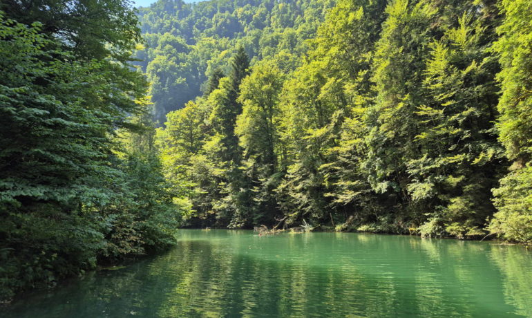 🚤 Lac Vert d’Untervelier – Haute-Sorne