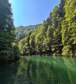 🚤 Lac Vert d’Untervelier – Haute-Sorne