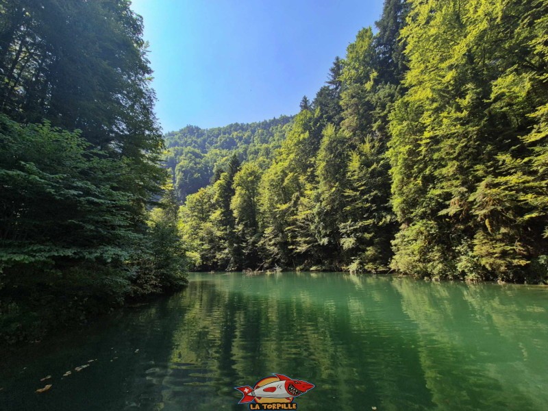 Les vues sur le lac Vert depuis le côté nord, au niveau du barrage. Lac Vert d'Untervelier, Haute-Sorne, district de Delémont. canton du Jura.