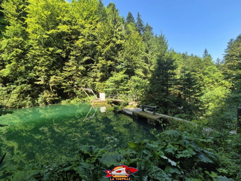 Barrage. Lac Vert d'Untervelier, Haute-Sorne, district de Delémont. canton du Jura.