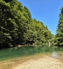 🚤 Lac Vert d’Untervelier – Haute-Sorne