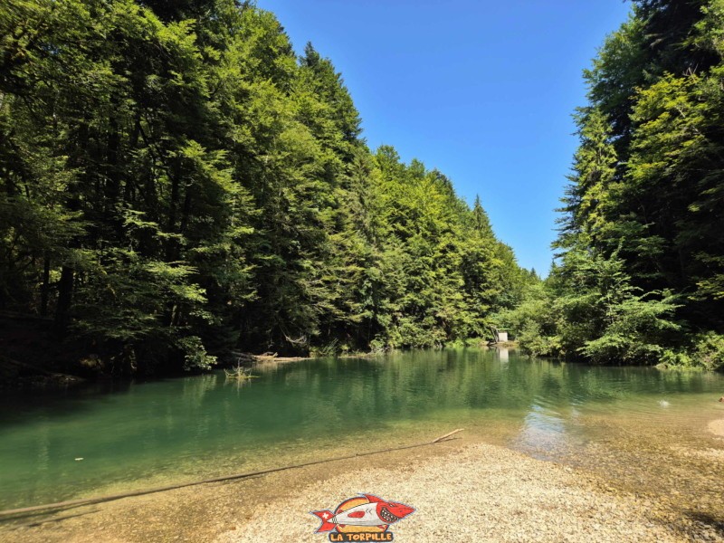 Les vues sur le côté sud du lac Vert. Lac Vert d'Untervelier, Haute-Sorne, district de Delémont. canton du Jura.