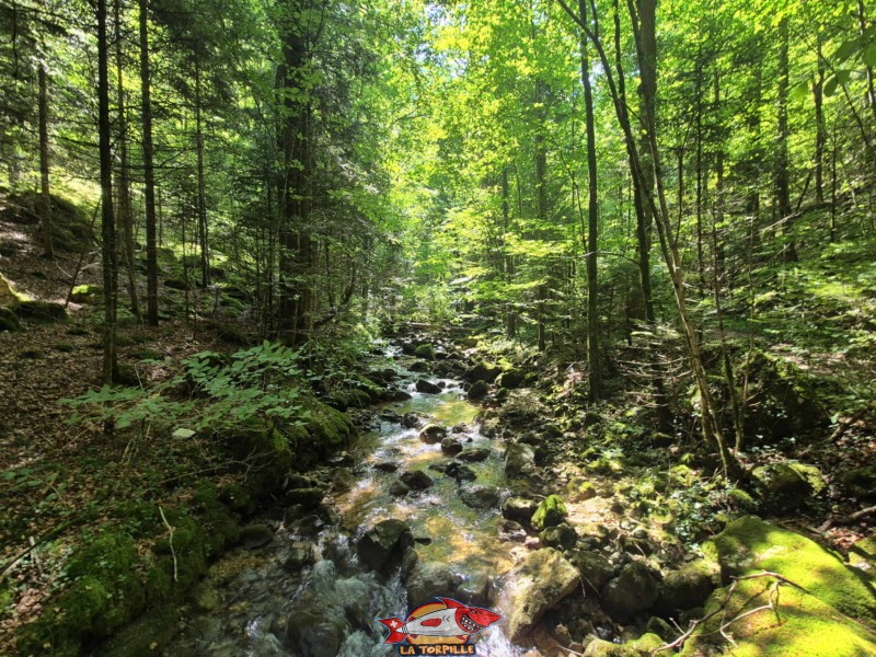 La deuxième partie du chemin du lac Vert d'Untervelier jusqu'à la route.