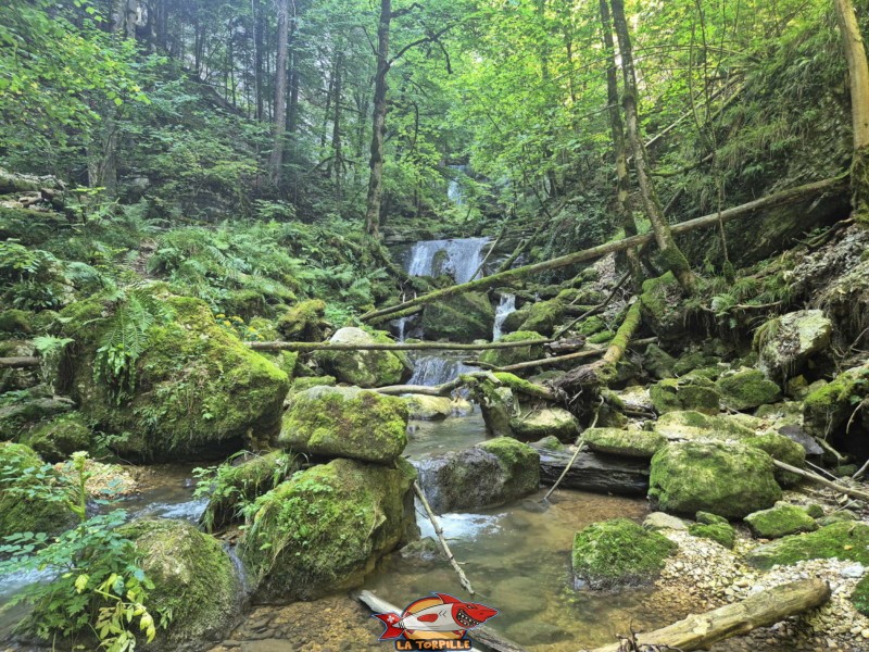 La deuxième partie du chemin du lac Vert d'Untervelier jusqu'à la route.