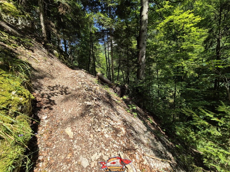 La deuxième partie du chemin du lac Vert d'Untervelier jusqu'à la route. Le chemin qui grimpe en très forte pente depuis le lit de la Sorne jusqu'au tunnel de la route des gorges.
