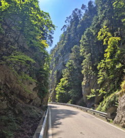 ⛰️ Gorges du Pichoux – Sornetan