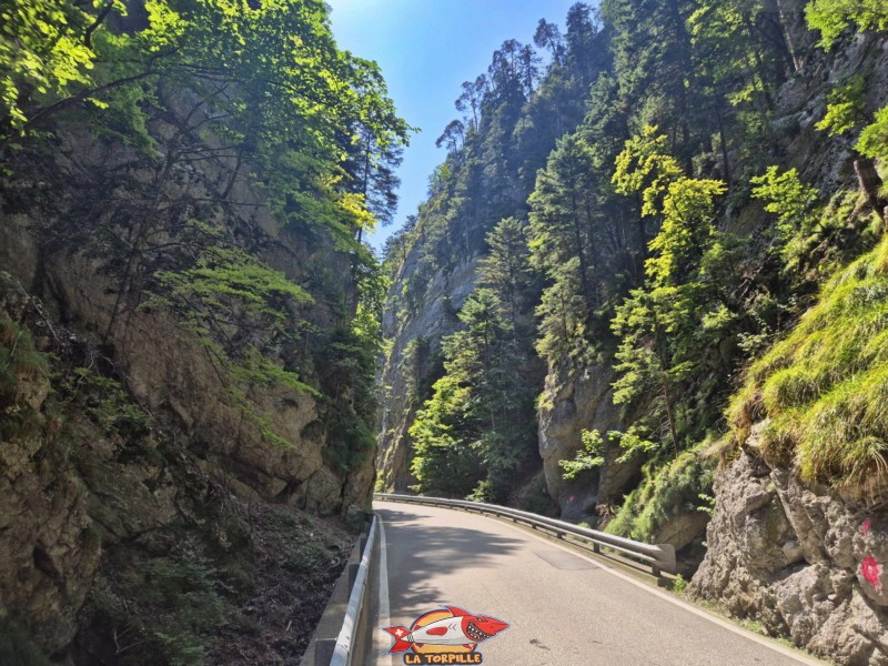 La montée le long de la route du tunnel jusqu'au sommet des gorges du Pichoux.