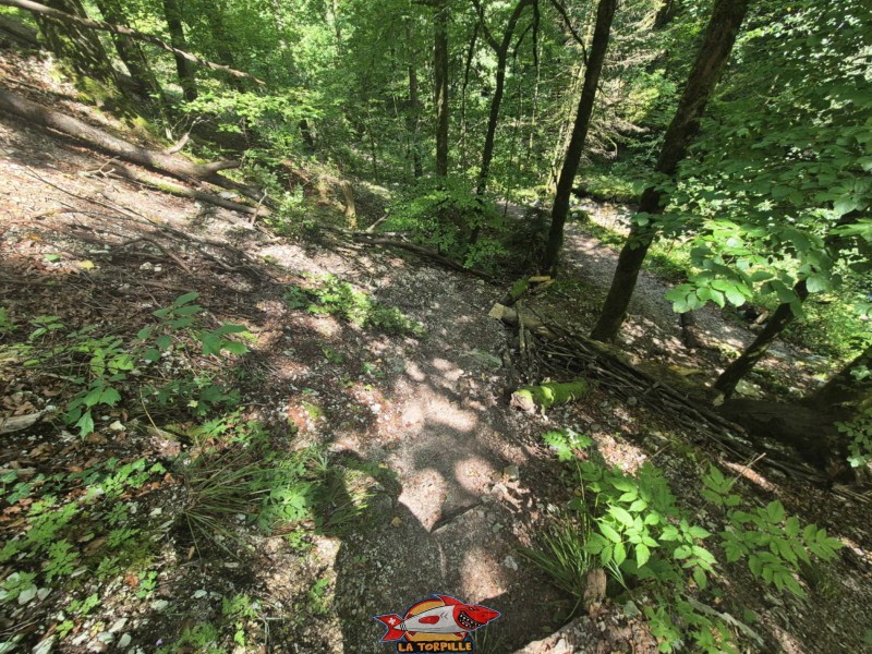 Chemin du retour. Gorges du Pichoux.