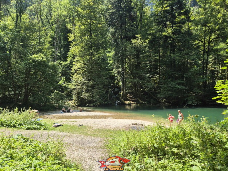 Les vues sur le côté sud du lac Vert. Lac Vert d'Untervelier, Haute-Sorne, district de Delémont. canton du Jura.