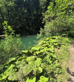 🚤 Lac Vert d’Untervelier – Haute-Sorne