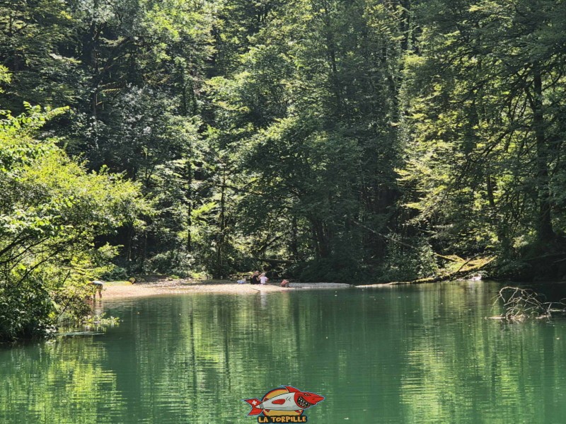 Les vues sur le côté sud du lac Vert. Lac Vert d'Untervelier, Haute-Sorne, district de Delémont. canton du Jura.