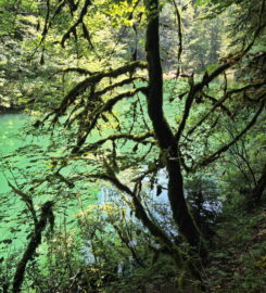 🚤 Lac Vert d’Untervelier – Haute-Sorne