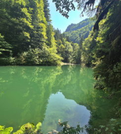 🚤 Lac Vert d’Untervelier – Haute-Sorne