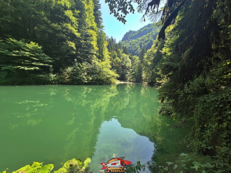 Les vues sur le lac Vert depuis le côté nord, au niveau du barrage. Lac Vert d'Untervelier, Haute-Sorne, district de Delémont. canton du Jura.