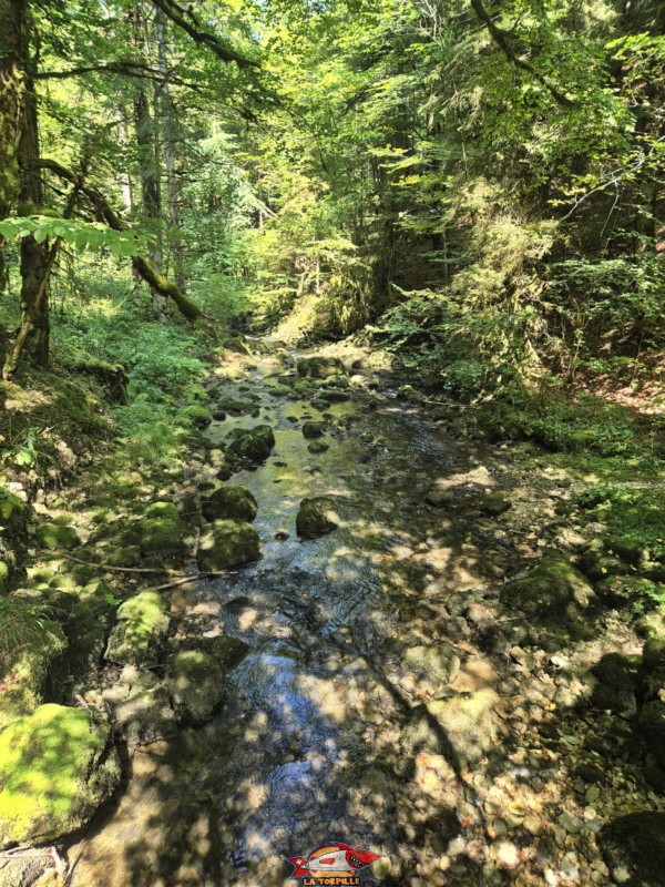 Le chemin du retour est le même que celui de l'aller. La Sorne. Lac Vert d'Untervelier, Haute-Sorne, district de Delémont. canton du Jura.