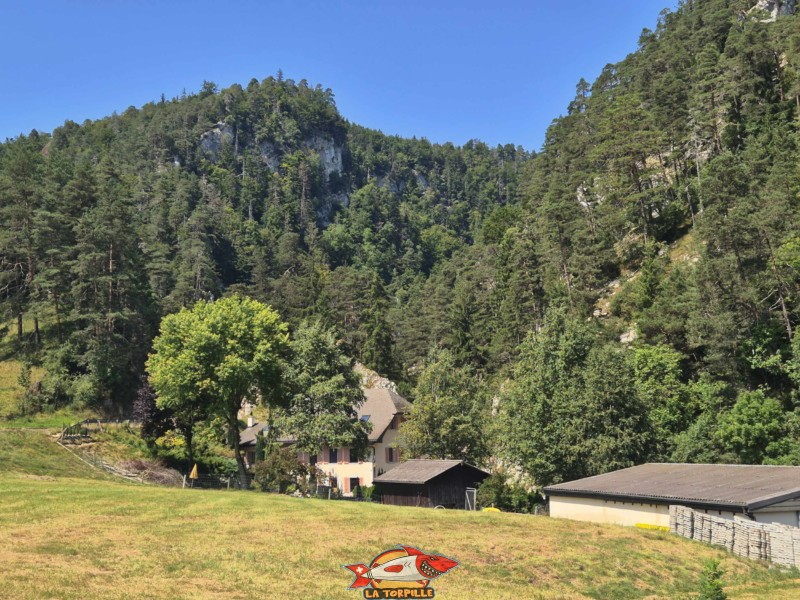 L'arrivée au sommet des gorges, au lieu-dit "Le Pichoux" à proximité de Sornetan.