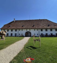 🍔 Maison de la Tête de Moine – Bellelay