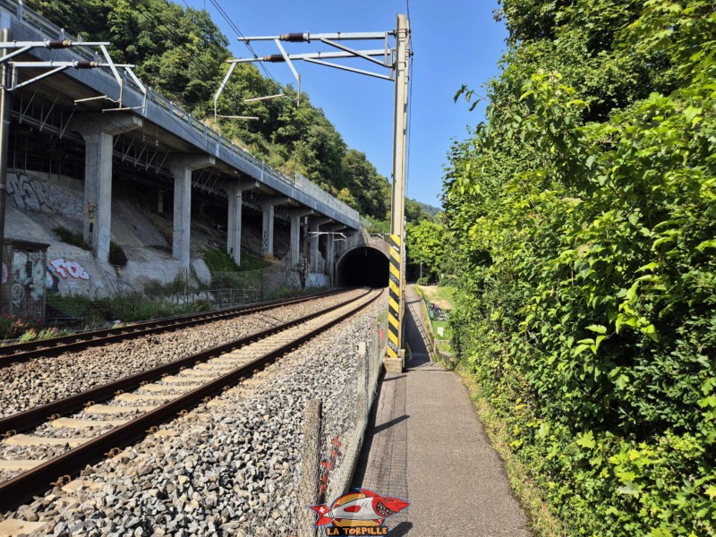 Les photos du chemin du bord du lac à proximité du bain de Funtelen.